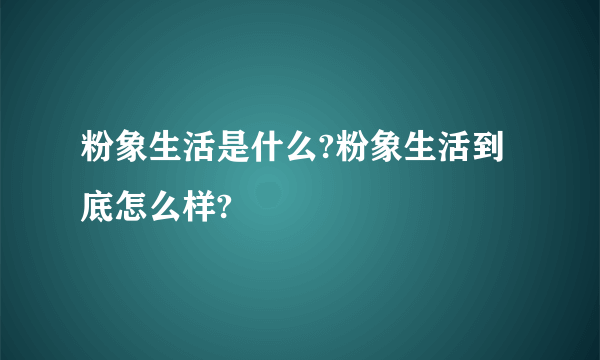 粉象生活是什么?粉象生活到底怎么样?