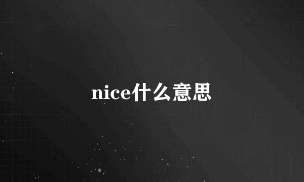 nice什么意思