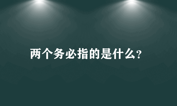 两个务必指的是什么？