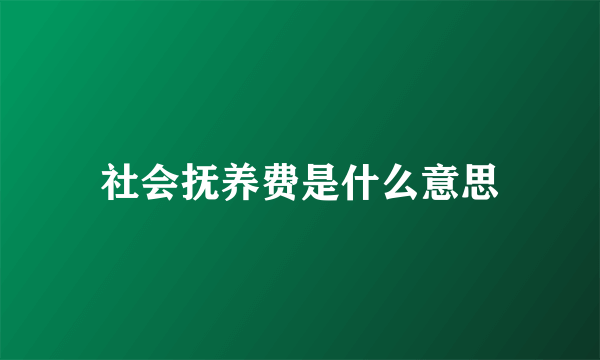 社会抚养费是什么意思