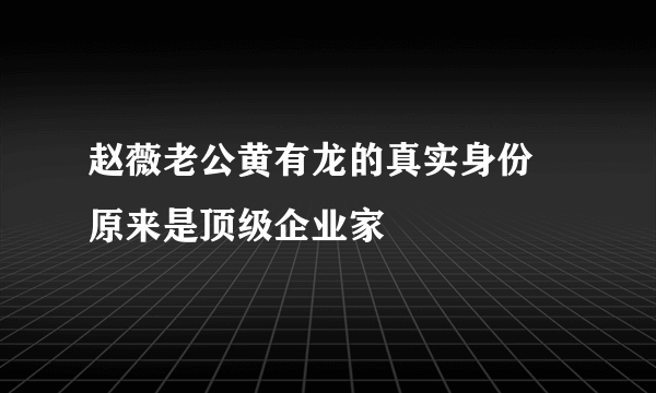 赵薇老公黄有龙的真实身份 原来是顶级企业家