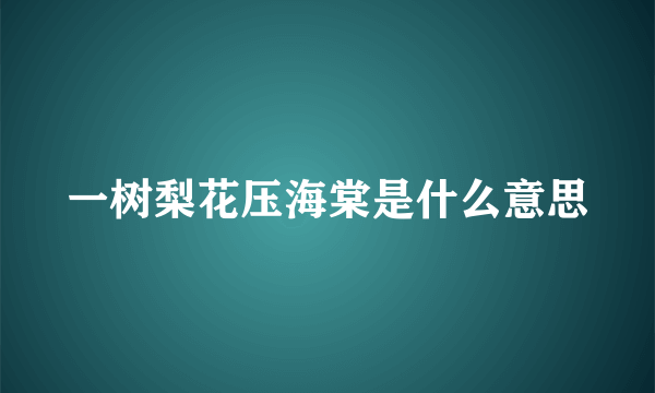 一树梨花压海棠是什么意思