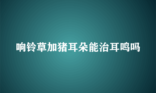 响铃草加猪耳朵能治耳鸣吗