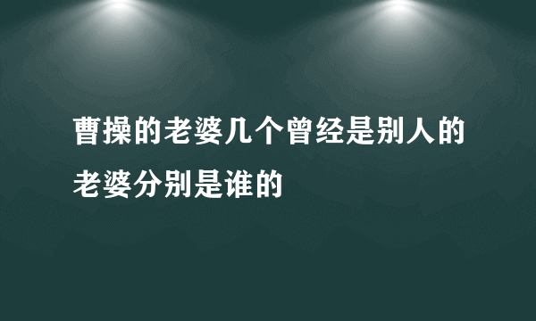 曹操的老婆几个曾经是别人的老婆分别是谁的