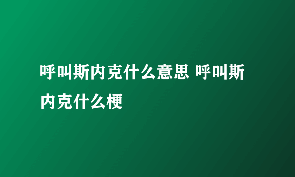 呼叫斯内克什么意思 呼叫斯内克什么梗