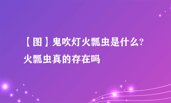 【图】鬼吹灯火瓢虫是什么?火瓢虫真的存在吗