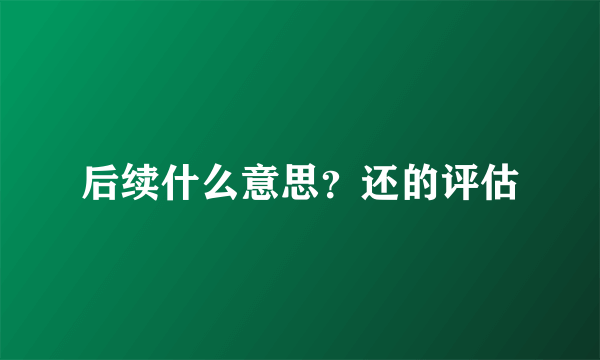 后续什么意思？还的评估