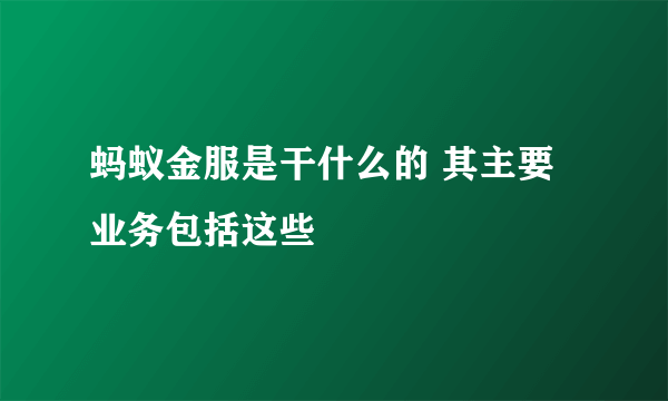 蚂蚁金服是干什么的 其主要业务包括这些