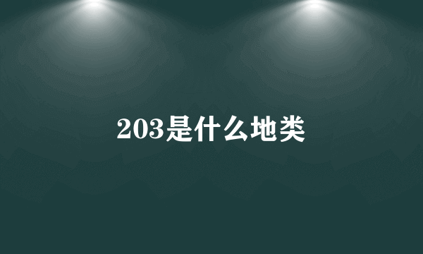 203是什么地类