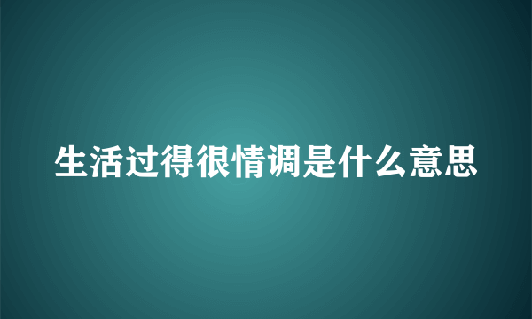 生活过得很情调是什么意思