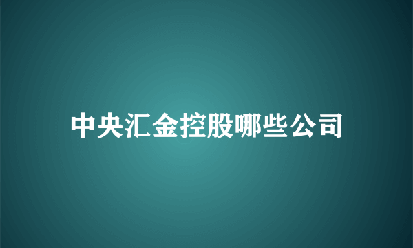 中央汇金控股哪些公司