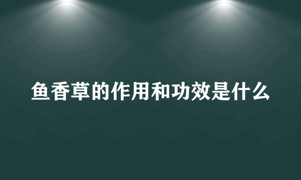 鱼香草的作用和功效是什么