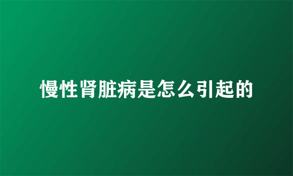 慢性肾脏病是怎么引起的