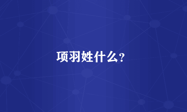 项羽姓什么？