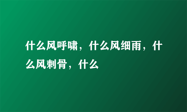 什么风呼啸，什么风细雨，什么风刺骨，什么