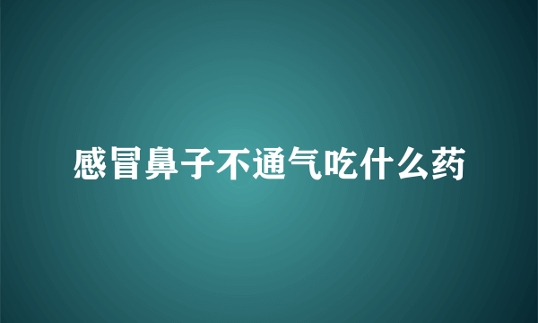 感冒鼻子不通气吃什么药