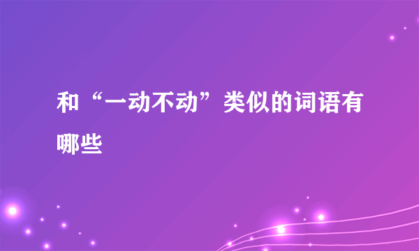 和“一动不动”类似的词语有哪些