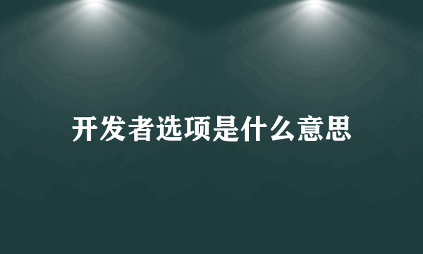 开发者选项是什么意思