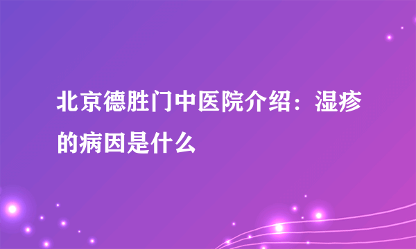 北京德胜门中医院介绍：湿疹的病因是什么