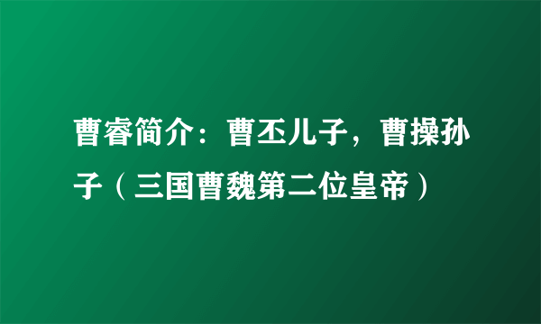 曹睿简介：曹丕儿子，曹操孙子（三国曹魏第二位皇帝）