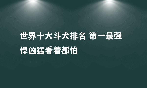 世界十大斗犬排名 第一最强悍凶猛看着都怕