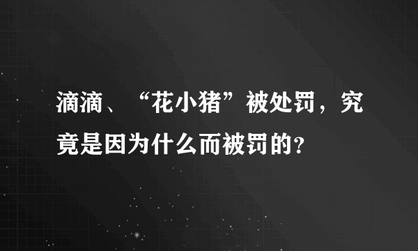 滴滴、“花小猪”被处罚，究竟是因为什么而被罚的？