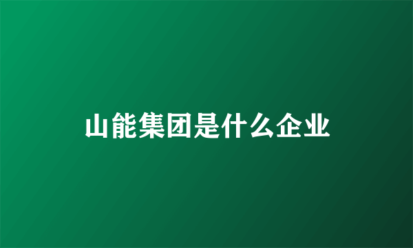 山能集团是什么企业