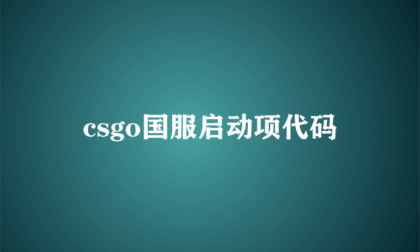 csgo国服启动项代码