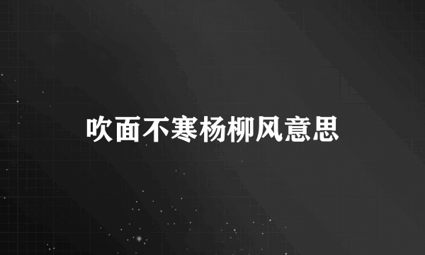 吹面不寒杨柳风意思