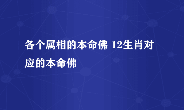 各个属相的本命佛 12生肖对应的本命佛