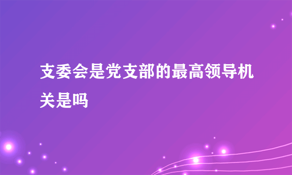 支委会是党支部的最高领导机关是吗