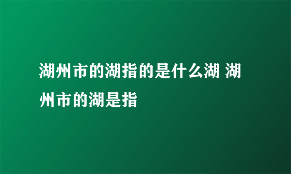 湖州市的湖指的是什么湖 湖州市的湖是指