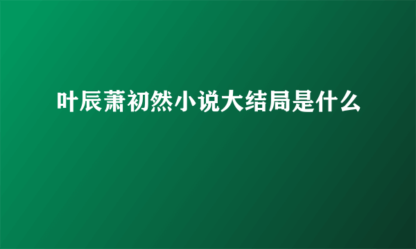 叶辰萧初然小说大结局是什么