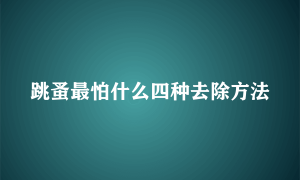 跳蚤最怕什么四种去除方法