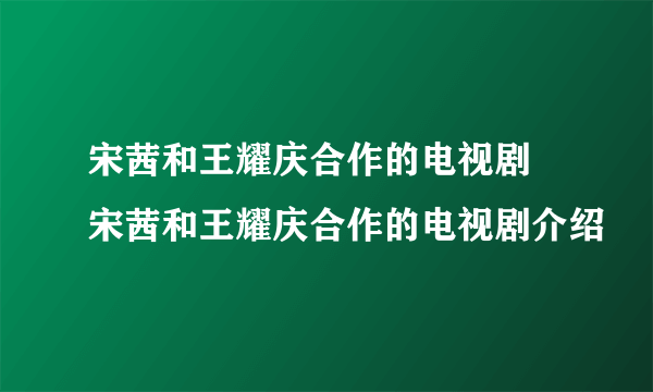 宋茜和王耀庆合作的电视剧 宋茜和王耀庆合作的电视剧介绍