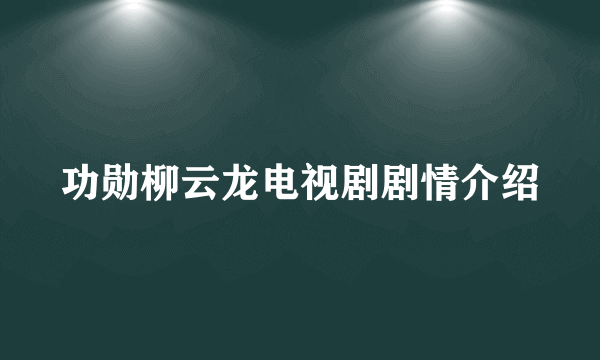 功勋柳云龙电视剧剧情介绍