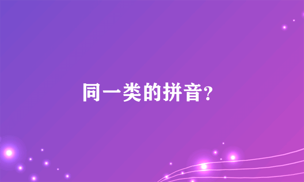 同一类的拼音？