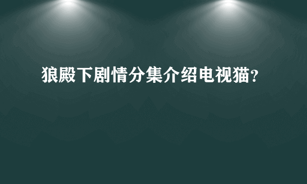 狼殿下剧情分集介绍电视猫？