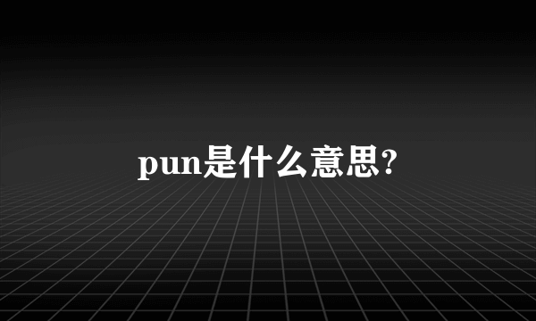 pun是什么意思?