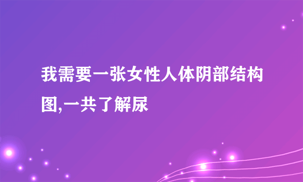 我需要一张女性人体阴部结构图,一共了解尿