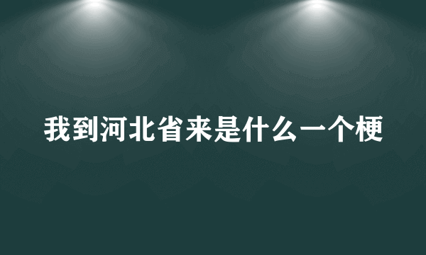 我到河北省来是什么一个梗