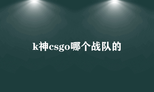 k神csgo哪个战队的