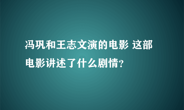 冯巩和王志文演的电影 这部电影讲述了什么剧情？