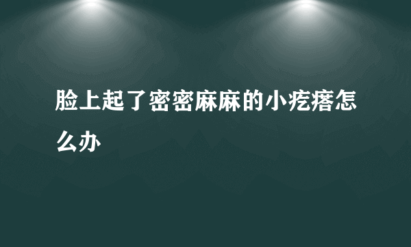 脸上起了密密麻麻的小疙瘩怎么办