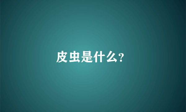 皮虫是什么？