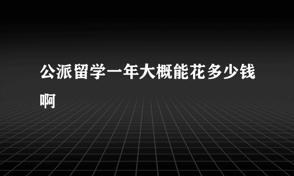 公派留学一年大概能花多少钱啊