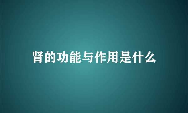 肾的功能与作用是什么