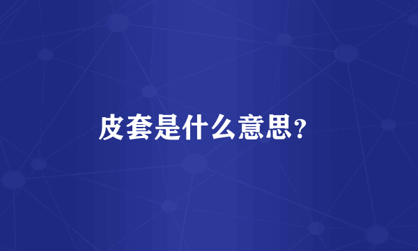 皮套是什么意思？