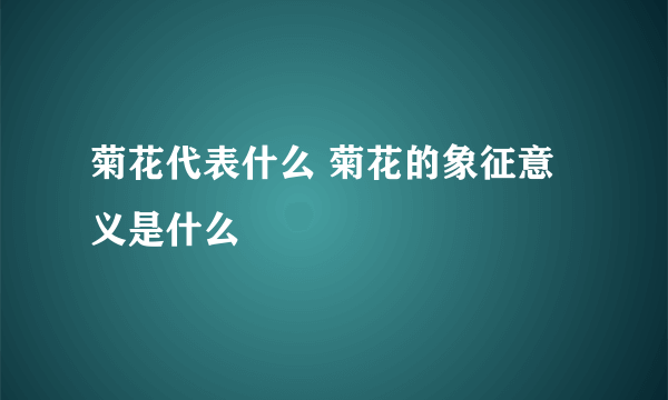 菊花代表什么 菊花的象征意义是什么