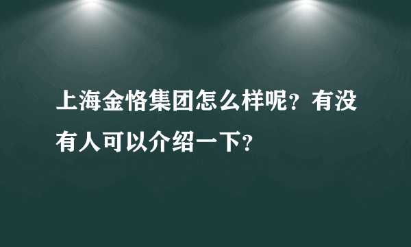 上海金恪集团怎么样呢？有没有人可以介绍一下？